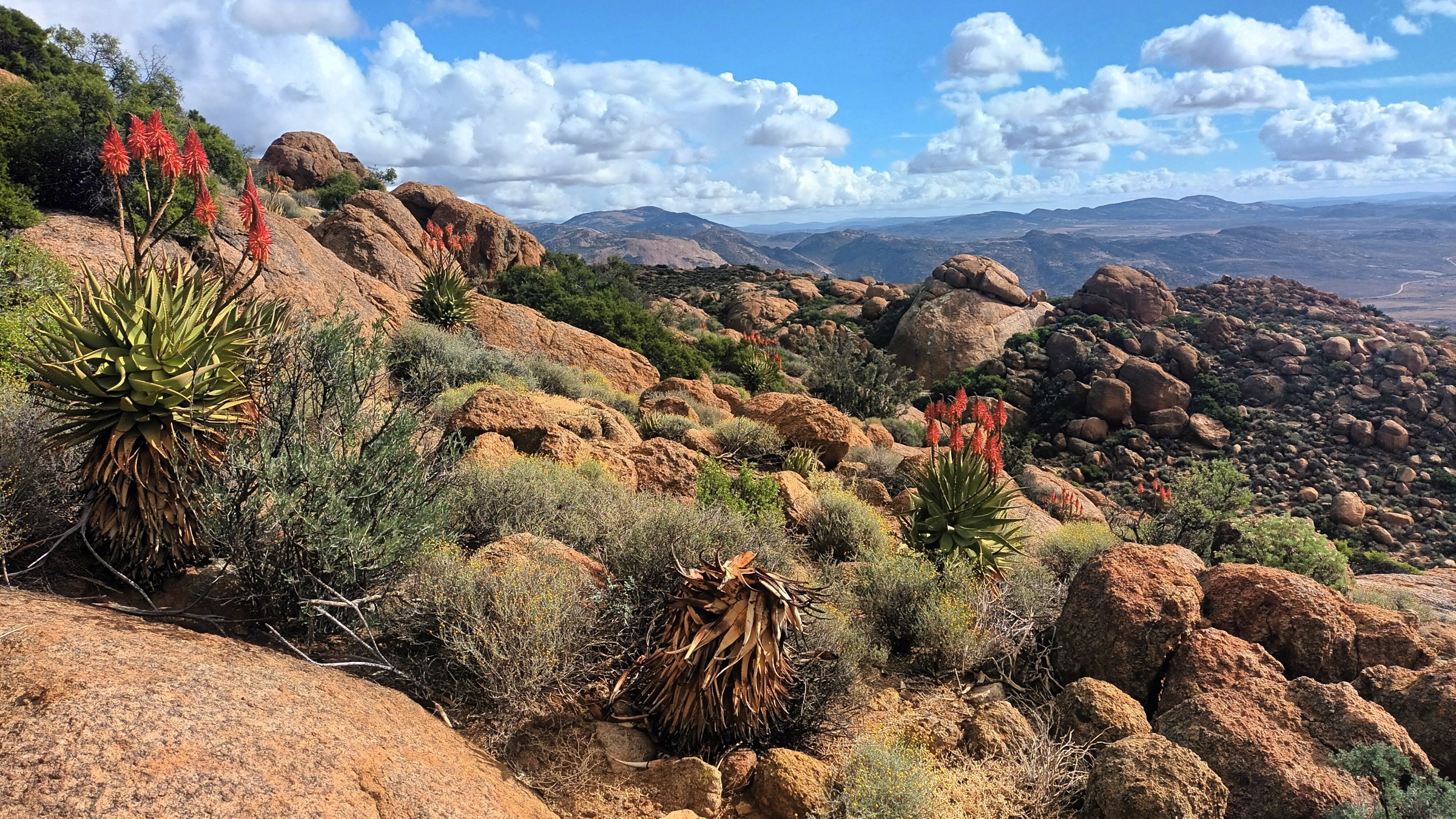 Namaqualand's Best Kept Secret