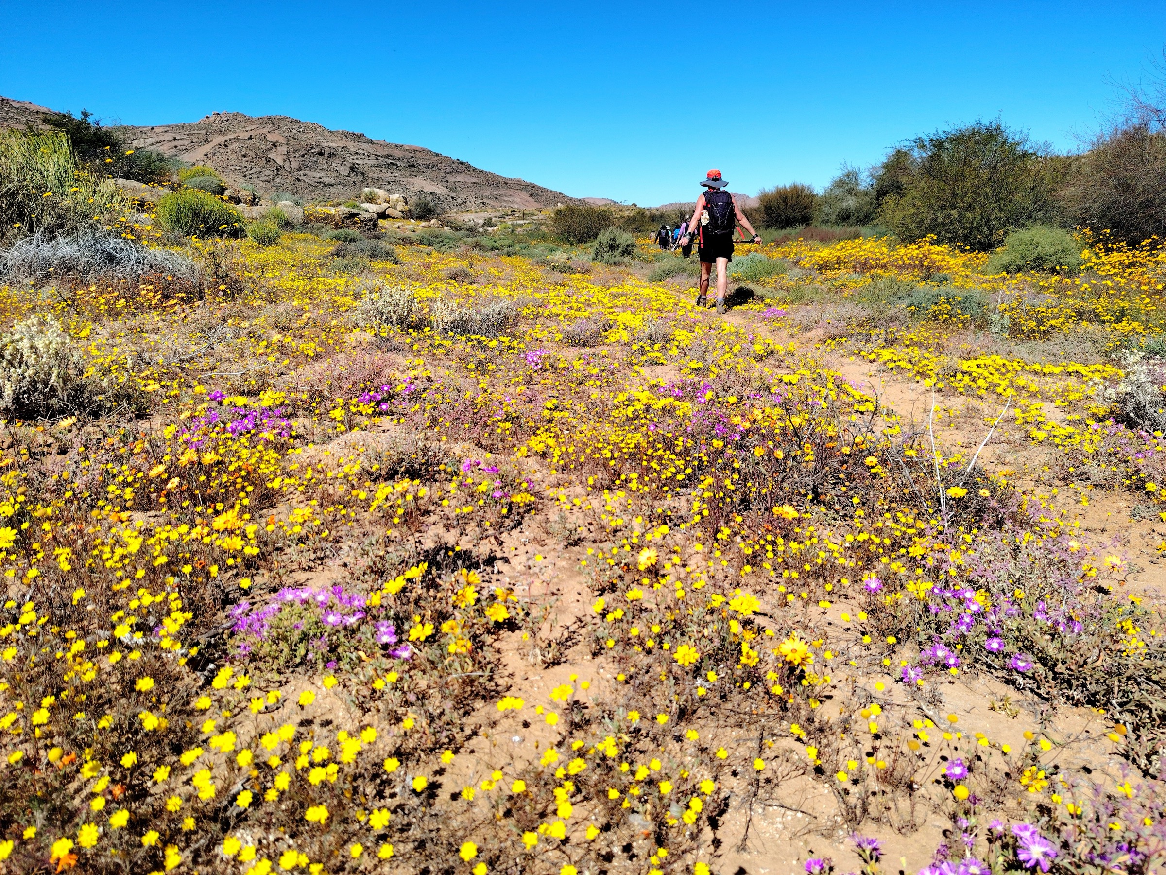 Wildflower Season Awaits