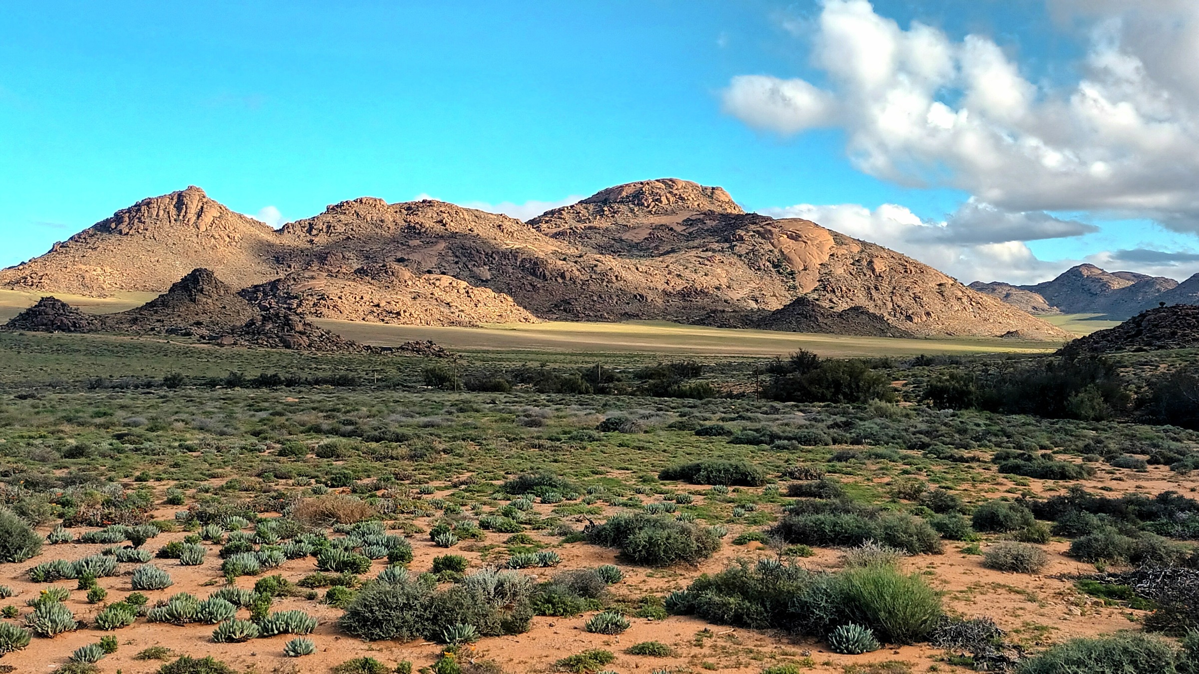 Guided Namaqualand Tours