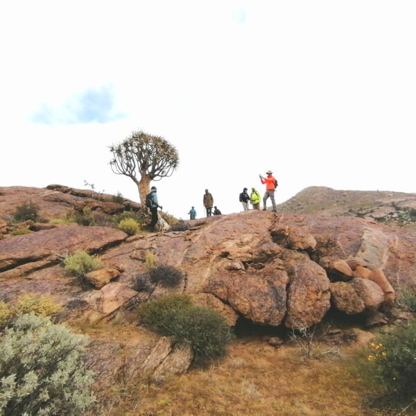 Bruinkop Hiking Trail